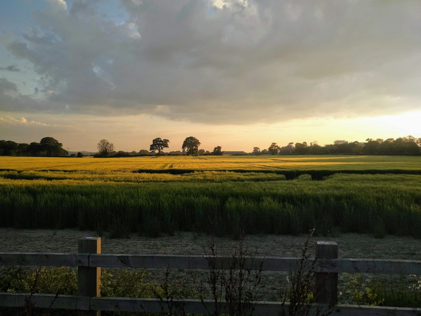Essex countryside farmland